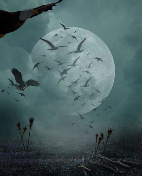 Moon Photo Editing, New Photo Editing Background, Dark Photo Editing, Background Scary, Hd Photo Editing, Picsart Background Hd, Full Hd Background, Background Picsart, Scary Night