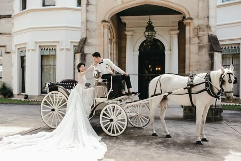 Horse And Carriage Wedding, Fairytale Garden Wedding, Carriage Wedding, Light Pink Wedding Dress, Fairytale Garden, Bridal Car, Wedding Carriage, Horse Wedding, Australian Wedding