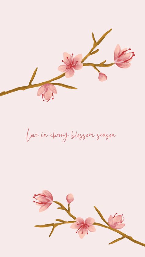 Cherry Blossom Pink Wallpaper, Wallpaper Cherryblossom, Wallpaper Sakura Flowers, Sakura Blossoms Wallpaper, Pink Sakura Wallpaper, Sakura Aesthetic Wallpaper, Sakura Wallpaper Aesthetic, Cherry Blossom Wallpaper Aesthetic, Pink Cherry Wallpaper