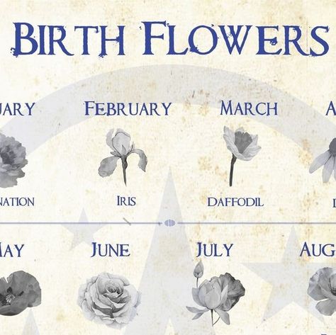 Wicca Academy on Instagram: "Birth flowers are symbolic of the month we were born, and each one has its significance. January Birth Flower- Carnation= dedication & love February Birth Flower– Iris= loyalty, humility, and spiritual wisdom March Birth Flower– Daffodil= prosperity, good luck, and optimism April Birth Flower– Daisy= innocence, loyalty, and transformation May Birth Flower– Hawthorn= humility, sweetness, happiness June Birth Flower– Rose= love, and its meaning can vary depending on its color. July Birth Flower- Water Lilies=open-minded and symbolize health August Birth Flower- poppy= strength, integrity and infatuation September Birth Flower- Morning Glory= unrequited love, strength and resilience. October Birth Flower- Cosmos= harmony and balance, tranquility, innocence Novembe Birth Symbols, February Birth Flower, March Birth Flower, May Birth Flower, My Moon Sign, September Birth Flower, October Birth Flowers, July Birth Flower, March Birth Flowers