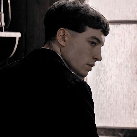 Credence Dumbledore, Ezra Miller Fantastic Beasts, Aurelius Dumbledore, Credence Fantastic Beasts, Claudia Kim, Alison Sudol, Credence Barebone, Katherine Waterston, Toby Regbo