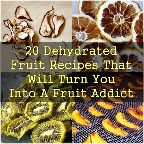 20 Dehydrated Fruit Recipes That Will Turn You Into A Fruit Addict #howlongdoesdehydratedfruitlast Dehydrated Fruit Recipes, Dehydration Recipes, Dehydrator Recipes Fruit, Food Dehydrator Recipes, Dehydrated Snacks, Dehydrator Ideas, Dehydrated Food Recipes, Dehydrated Recipes, Dehydrating Food Storage