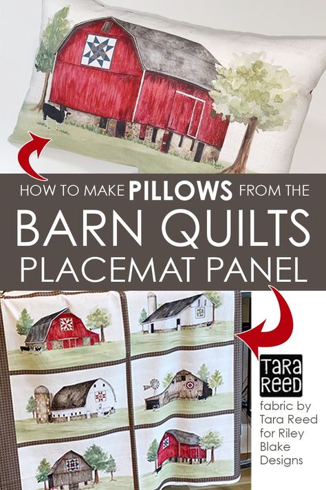 Turn the Barn Quilts Placemat Panel by Tara Reed for Riley Blake Designs into rectangular accent pillows. Great farmhouse accents for your home and easy to sew. Riley Blake Quilt Patterns, Riley Blake Quilt, Make Pillows, Farmhouse Placemats, Tara Reed, Sewing Spaces, Placemats Patterns, Star Quilt Blocks, Easy To Sew