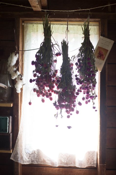 kinfolk community gathering #2: honey harvest Flowers Hanging, Cottage Witch, Magia Das Ervas, Witch Cottage, Witch House, Witch Aesthetic, Green Witch, Boho Home, My New Room