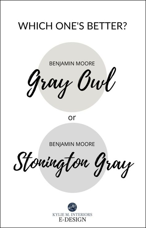 Gray Owl Benjamin Moore Bathroom, Neutral Grey Paint Colors, Benjamin Moore Paint Colors Gray, Gray Owl Paint, Benjamin Moore Stonington Gray, Benjamin Moore Bedroom, Perfect Grey Paint Color, Basement Lounge, Neutral Gray Paint