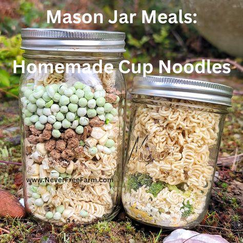 Mason Jar Meals In A Jar: Homemade Cup Noodles Mason Jar Soup, Mason Jar Mixes, Jar Mixes, Freeze Dried Meat, Freeze Dried Vegetables, Dry Soup Mix, Homemade Dry Mixes, Jar Meals, I Am Sick