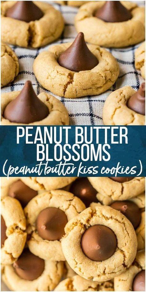 Peanut Butter Blossoms are a classic cookie recipe that is easy to make and loved by all! This BEST Peanut Butter Kiss Cookies Recipe has been in our family for years. Chocolate Peanut Butter Cookies are perfect for Christmas baking, but also made for enjoying year round, especially at Summer BBQs. #cookies #christmas #baking #peanutbutter #chocolate #hershey  #hersheyskiss #blossoms #cookie #cookies #howiholiday  #holiday #easyrecipe via @beckygallhardin #thecookierookie Peanut Butter Hershey Kiss Cookies, Peanut Butter Kiss Cookies Recipe, Blossoms Cookies, Kiss Cookies Recipe, Kiss Cookie Recipe, Peanut Butter Blossoms Recipe, Chocolate Hershey, Peanut Butter Kiss, Peanut Butter Blossom