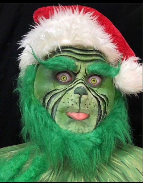 Grinch Portrait, The Grinch Eye Makeup, Jim Carrey Grinch Face, Grinch With Mask Orbament, The Grinch Meme, Movie Makeup, Face Painting Easy, Creative Makeup, Body Painting