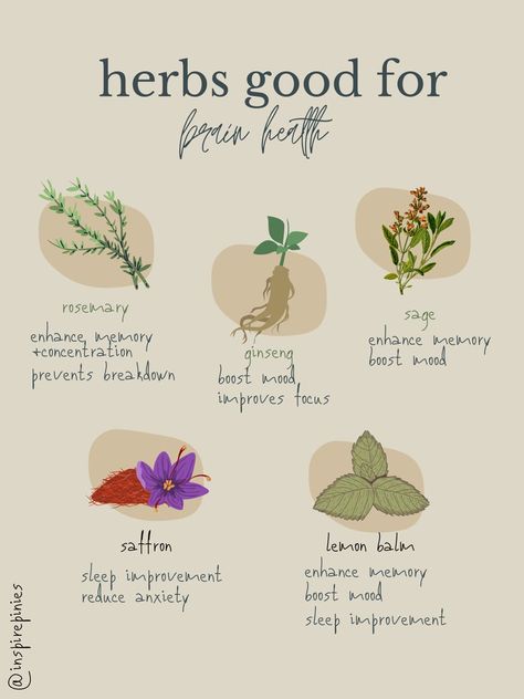 herbs good for brain health Herbs For Inflammation, Osteoporosis Prevention, Healing Water, Health Herbs, Natural Path, Mental Healing, Healing Waters, Herbs For Health, Mental Health Support