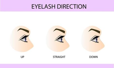 Premium Vector | Eyelash extension guide for woman. infographic with eyelashes Woman Infographic, Eyelashes Growth, Lash Growth, Lashes Beauty, Eyelash Growth, Contouring And Highlighting, Eyelash Extension, False Lashes, Eyelash Extensions