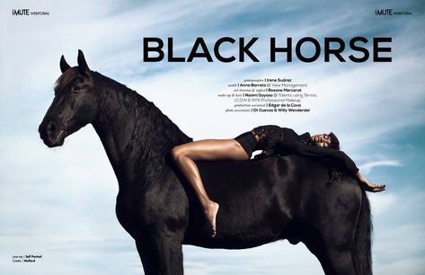 Horse Photoshoot Ideas, Equine Portraits, Horse Inspiration, Horse Fashion, Studio Photography Poses, Black Horses, White Horses, Black Horse, Horse Photos