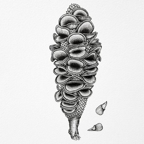 Seed Pod Tattoo, Seed Pod, Seed Pods, Art Inspo, Tatting, Humanoid Sketch, Tattoos, Art