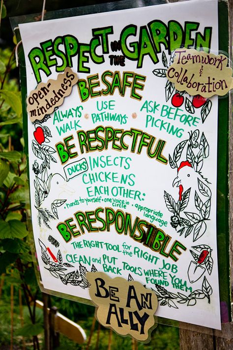 Respect in the Garden | The Edible Schoolyard Project Greenhouse Classroom, Demonstration Ideas, Garden Signage, School Garden Club, Edible Schoolyard, Hawaii Instagram, Natural Playground Ideas, School Gardens, Outdoor Learning Activities