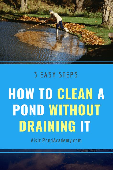 Fish Pond Gardens, Farm Pond, Living Pool, Pond Cleaning, Building A Pond, Natural Swimming Ponds, Pond Maintenance, Garden Pond Design, Outdoor Ponds