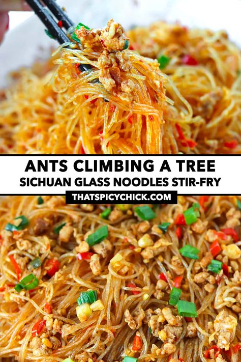 Ants Climbing A Tree, Sichuan Recipes, Glass Noodles Recipe, Climbing A Tree, Vermicelli Recipes, Pork Stir Fry, Glass Noodles, Mung Bean, Spicy Sauce