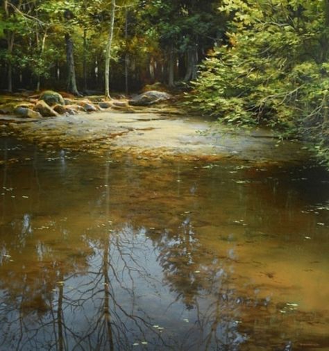 Renato Muccillo, Classical Realism, Hyper Realistic Paintings, John Wilson, Theme Nature, Water Reflections, Realistic Paintings, Water Painting, Canadian Artists