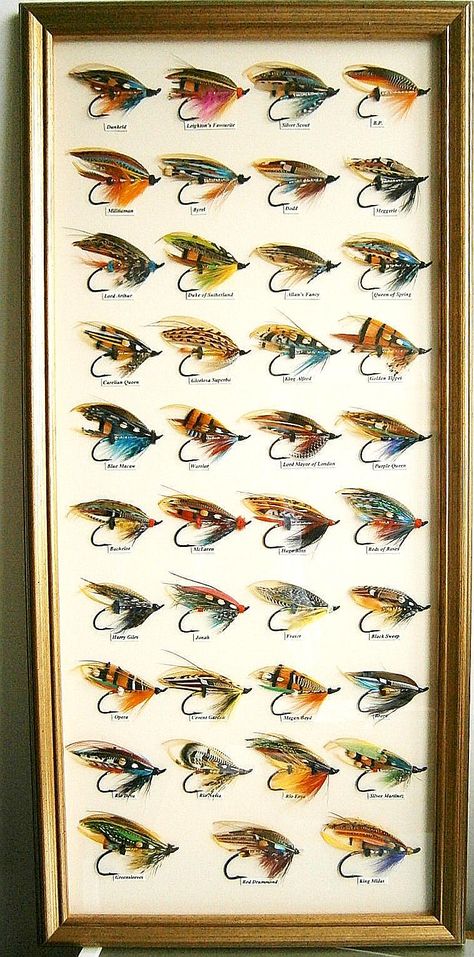 Classic Salmon Flies Vintage Fishing Flies, Salmon Fly Patterns, Salmon Flies Fly Tying, Fly Fishing Art, Fish Lure, Fly Fishing Gifts, Cruise Packing, Fishing Art, Fly Fishing Flies Pattern