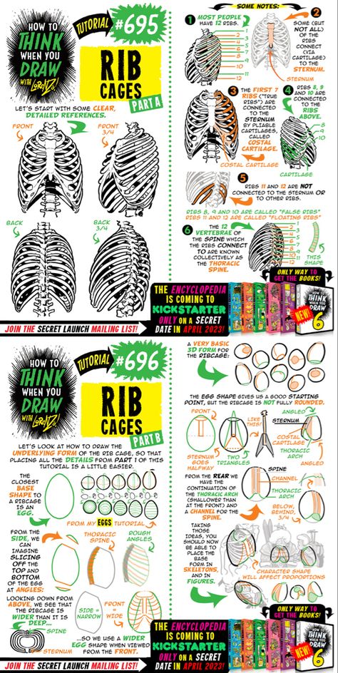 Anatomy Of Bones, How To Draw Skeletons, Art Classroom Management, Comic Tutorial, Art Advice, Human Anatomy Drawing, Drawing Studies, Body Reference Drawing, Anatomy Drawing