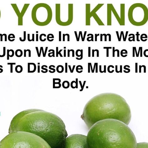 Intestinal Inflammation, Daily Morning Routine, Key Limes, Lime Tea, Key Lime Juice, August 1, Limes, Key Lime, Lime Juice