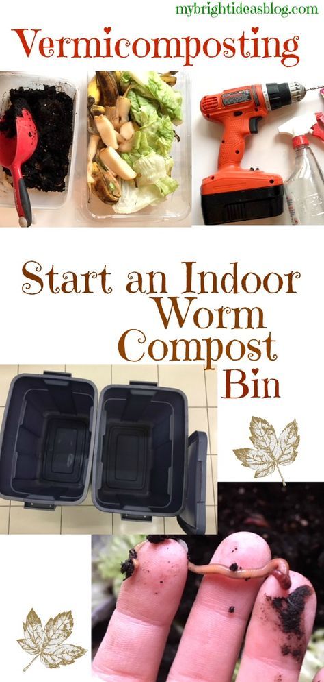 Starting an indoor Compost Bin is Easy. Check out my tuitorial on Vermicomposting with Red Wiggler Worms. mybrightideasblog.com Indoor Composting, Red Worm Composting, Indoor Compost Bin, Worm Farm Diy, Indoor Compost, Worm Beds, Worm Composting Bin, Gardens Vegetable, Red Wiggler Worms