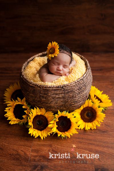 A sweet idea for a Fall Newborn Photo. #togally #newborn Courtesy of Kristi Kruse, newborn sunflower picture. Fall Newborn Photos, Goodnight Pics, God Night, Foto Newborn, Goodnight Quotes, Baby Pictures Newborn, Anne Geddes, Night Blessings, Newborn Baby Photoshoot