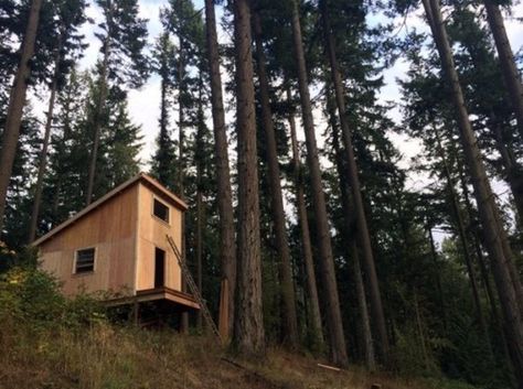 200 SF Cabin Built in 6 Days for $6K ~ 2 Links: http://friendsbuild200sqfttinycabinin6days.wikidee.org/friends-build-200-sq-ft-tiny-cabin-in-6-days-for-6k.html Shed Roof Cabin, Cozy Loft, Building A Cabin, Off Grid Cabin, House Loft, Shed Roof, Tiny Cabin, Tiny House Movement, Tiny World