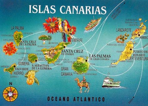 Teneriffe, Canary Islands Spain, The Constellations, Holiday Places, Voyage Europe, Nightlife Travel, Illustrated Map, Menorca, Canary Islands