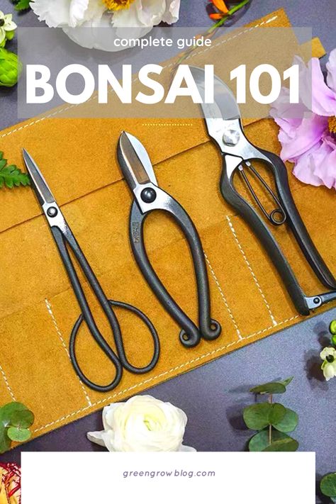 Bonzi Trees, Bonsai From Seed, How To Grow Bonsai, Growing Bonsai, Plant Obsession, Indoor Plants Styling, Bonsai Tree Care, Best Garden Tools, Bonsai Soil