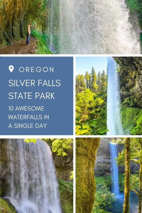 It isn't often that a single hike will cross the path of 10 waterfalls, but the Silver Creek Falls trail in Oregon does just that. This 7.2 mile trail is Oregon hiking at its finest, leading in, around and behind some of Oregon's most stunning falls. Here is what you need to know to hike it in a single day. via @www.pinterest.com/secondstogo0224 Salt Creek Falls Oregon, Silver Creek Falls Oregon, Trail Of 10 Falls Oregon, Tunnel Falls Oregon Hike, Tunnel Falls Oregon, Oregon Hiking, Silver Falls State Park, Oregon Hikes, Oregon Waterfalls