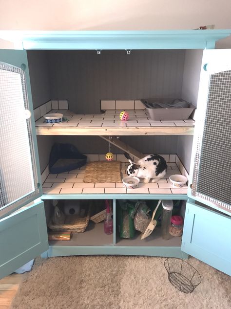 Bunny condo Indoor Hutch, Diy Bunny Hutch, Bunny Condo, Diy Bunny Cage, Indoor Bunny, Diy Rabbit Cage, Rabbit Hutch Indoor, Indoor Rabbit Cage, Diy Rabbit Hutch