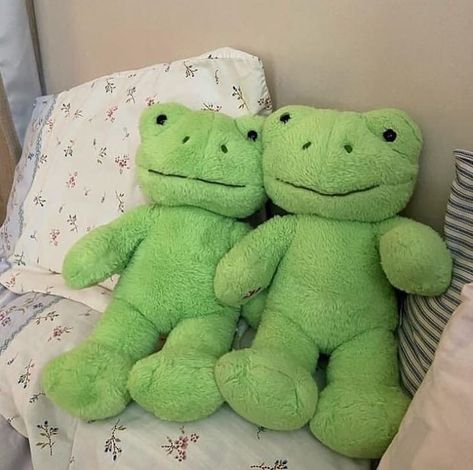 Amazing Frog, Mint Green Aesthetic, Frog Theme, Frog Pictures, Cute Sewing Projects, Cute Teddy Bear, Funny Frogs, Cute Teddy, Green Frog