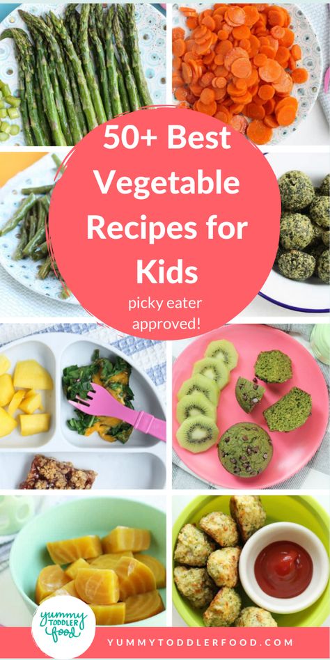 Learn how to make more vegetable recipes for kids to increase the chances that they'll eat what you cook for them! #vegetablerecipes #vegetablerecipeforkids #toddlerfood #pickyeaters Vegetable Snacks For Kids, Vegetable Recipes For Kids, Health Lunches, Best Vegetable Recipes, Kids Vegetables, Vegetable Recipe, Picky Eaters Kids, Vegetable Snacks, List Of Vegetables