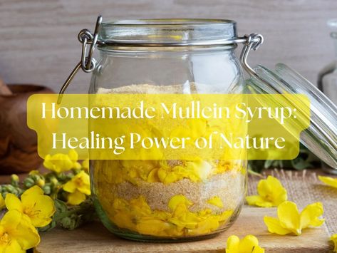 Mullein Cough Syrup Recipe, Mullein Magical Properties, Mullein Recipes, Mullen Plant, Mullein Plant, Cough Syrup Recipe, Tinctures Recipes, Medicine Recipes, Herbal Medicine Recipes