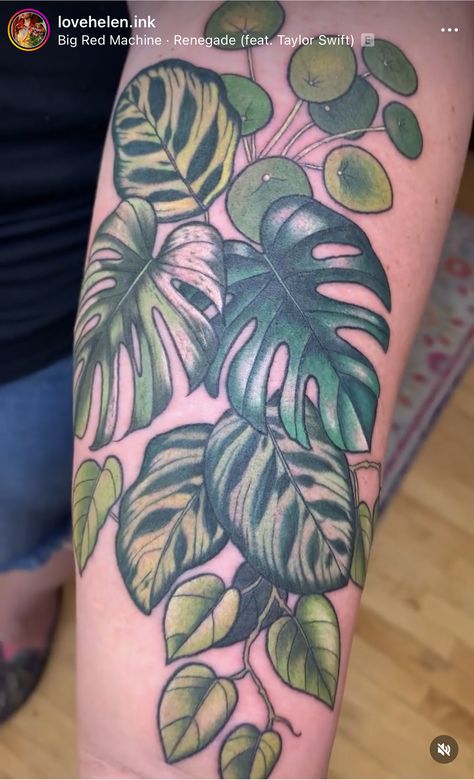 Syngonium Tattoo, Color Plant Tattoo, Spider Plant Tattoo, Philodendron Tattoo, Monstera Plant Tattoo, House Plant Tattoo, Plant Sleeve Tattoo, Houseplant Tattoo, Plant Tattoos