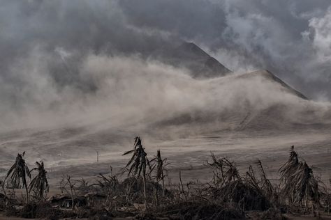 ‘Like a Scene From a Movie.’ What I Saw Photographing the Taal Volcano Eruption in the Philippines Philippines Volcano, Taal Volcano Eruption, After Volcanic Eruption, Poem Collage, Elden Ring Character, Mount Pinatubo, Pineapple Farm, Crimson Dawn, Taal Volcano