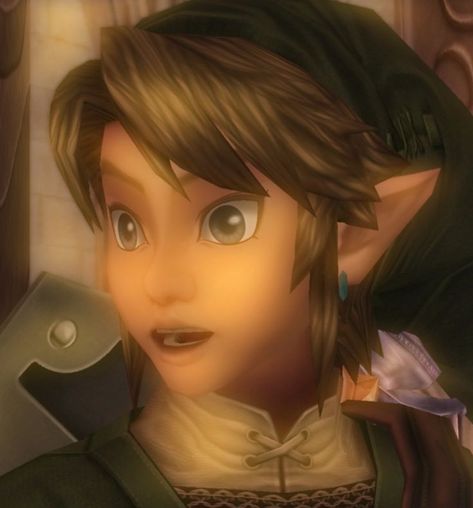 Link Icon Twilight Princess, Twilight Princess Link Pfp, Twilight Princess Pfp, Zelda Pfp Aesthetic, Link Pfp Zelda, Twilight Princess Icon, Link Zelda Twilight Princess, Link Icon Zelda, Twilight Link