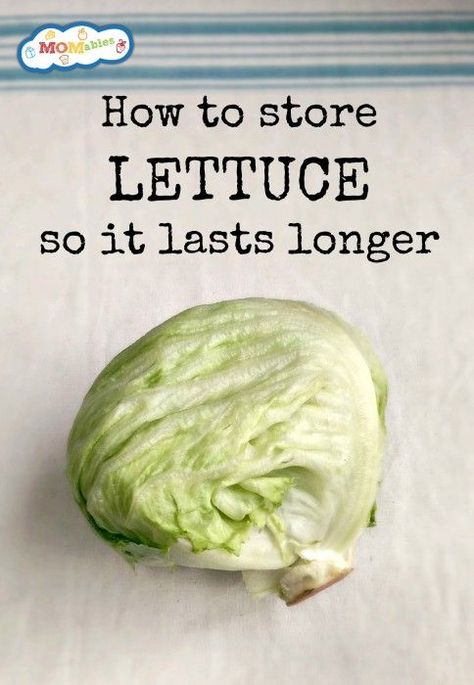 How to Make Lettuce Last Longer | Recipe | Food saver, Food, Storing vegetables How To Save Lettuce, Keep Lettuce Fresh Longer How To Store, Store Lettuce In Fridge, How To Keep Lettuce Fresh In Fridge, How To Keep Lettuce Fresh Longer, Preserve Lettuce, Lettuce Storage, Storing Lettuce, Veggie Storage