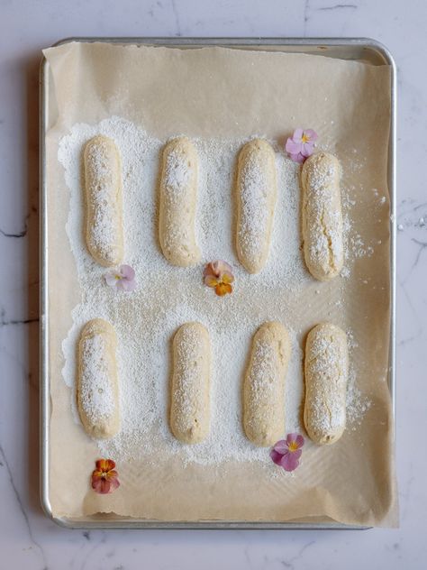 Homemade Lady Fingers + Sourdough Option - Coco et sel Lady Fingers Recipe, Electric Hand Mixer, Sourdough Discard, Lady Fingers, Piping Tips, Holiday Cooking, Baking Sheets, Vanilla Extract, Food Print