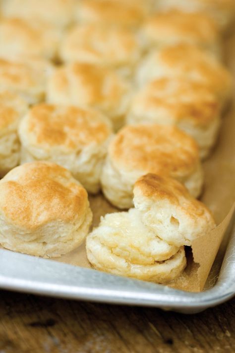 Plenty of Biscuits and Cornbread Paleo Biscuits, Best Buttermilk Biscuits, Southern Buttermilk Biscuits, Southern Living Recipes, Buttermilk Biscuits Recipe, Southern Biscuits, Homemade Buttermilk, Southern Dishes, Biscuits Recipe