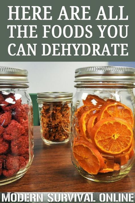 Dehydration Recipes, Dehydrator Recipes Fruit, Food Dehydrator Recipes, Dehydrator Ideas, Dehydrated Food Recipes, Dehydrated Recipes, Dehydrating Food Storage, Dehydrating Recipes, Dehydrated Fruits