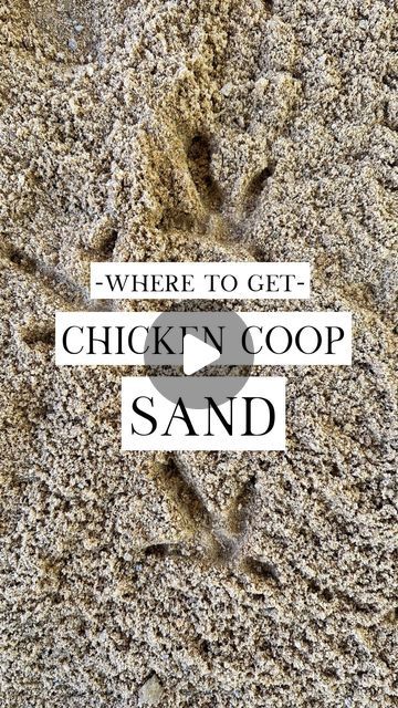 Alysha Whitfield | Bee Jeweled Coop on Instagram: "🐓Here’s all you need to know about SAND for your chicken coop!  💚 Where do you get it?  ✨Check your local landscape company! It’s cheaper and you can get a lot.  ✨Have a smaller space? All-purpose sand at @tractorsupply is a good choice!  💚 What kind to get? ✨ Sand has so many names! Ultimately you’ll want a medium grade construction sand that is not too fine and not sharp. 🚫 NO play sand or beach sand!  💚 Here are some names to look for: • concrete sand • granite sand • construction sand • arena sand • torpedo sand • river bank sand   💚 Can you use sand INSIDE the chicken coop too? Yes! Sand is a great low-cost and siftable bedding option for use inside the coop. With that said, sand in the coop makes everything really dusty. There Using Sand In Chicken Coop, Best Sand For Chicken Coop, Sand Chicken Coop, Landscaping Around Chicken Coop, Sand In Chicken Coop, Sand For Chicken Coop, Chicken Coop Sand, Chicken Coop Bedding, Fancy Chicken Coop