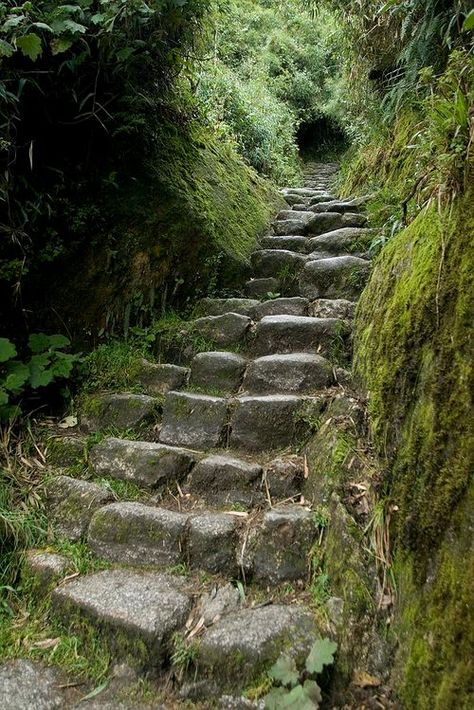 Cave entrance of the mysterious Wave Echo Cave Stone Steps, Inca Trails, Stairway To Heaven, Machu Picchu, Designs Ideas, Magical Places, Abandoned Places, In The Woods, Secret Garden