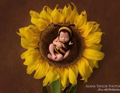 Diy Newborn Photography Props, Diy Newborn Photography, Baby Backdrop, Foto Newborn, Baby Announcement Pictures, Monthly Baby Photos, Towards The Sun, Newborn Photography Poses, Newborn Baby Photoshoot