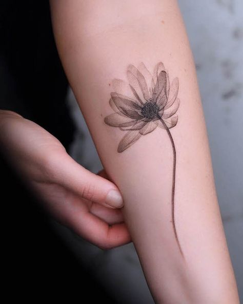 Water Lily Tattoo, Honeysuckle Tattoo, Marigold Tattoo, Water Lily Tattoos, Flower Of Life Tattoo, Lily Tattoo Design, Lily Flower Tattoos, Tattoo Shading, Full Arm Tattoos