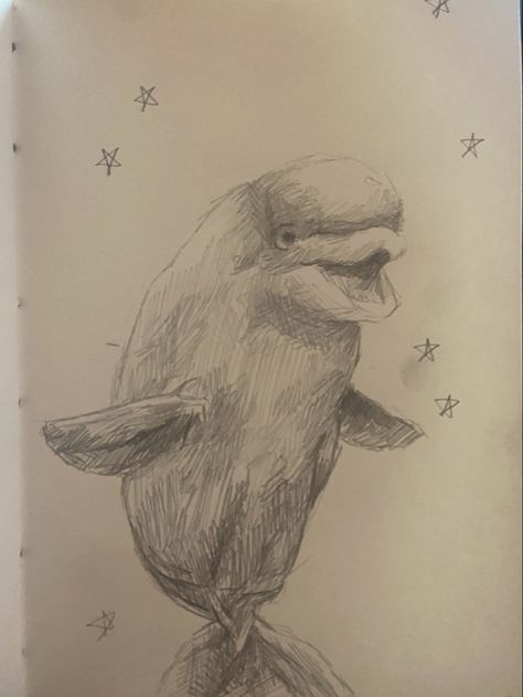 Marine Biology Sketch, Marine Animal Sketches, Beluga Drawing, Beluga Whale Drawing, Whale Shark Sketch, Sea Creature Drawing, Marine Drawing, Paper Restaurant, Aquarium Drawing