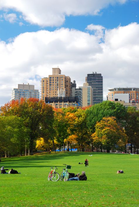 Central Park is the best urban park in the US. Located in Manhattan, New York City it is an urban oasis that is a must visit. New York Sightseeing, Nyc Spots, 숲 사진, Travel Apps, Nyc Fall, Travel Partner, Nyc Park, Park In New York, Best Family Vacations