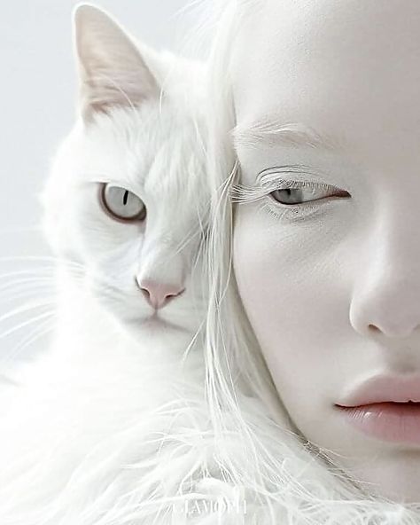 Albino Woman, Albino People, Albino Girl, Albino Animals, Snow Girl, Photographie Portrait Inspiration, Beautiful Dark Art, Beautiful Fairies, 판타지 아트