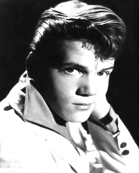 Brian Hyland... click then click again for LGE pic Brian Hyland, 50s Vintage, Vintage Images, Singers, The Voice, Music, Pins