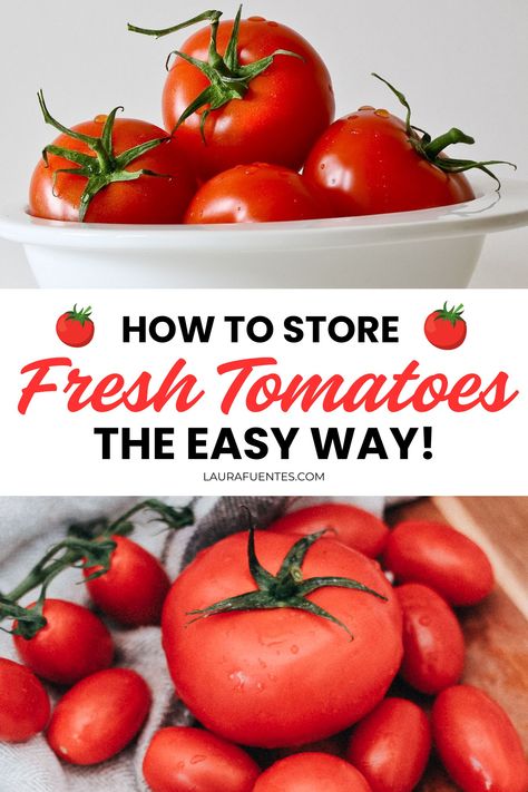 how to store fresh tomatoes How To Make Tomatoes Last Longer, How To Freeze Whole Fresh Tomatoes, How To Put Up Tomatoes In Freezer, Tomato Storage, Blanch Tomatoes To Freeze, Freezing Cherry Tomatoes Whole, Store Tomatoes, How To Store Tomatoes, Tomato Harvest