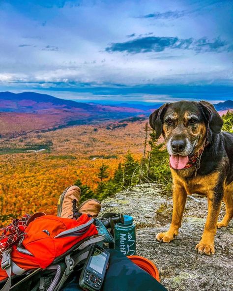 10 Best Towns in the Maine Mountains to Visit This Year 5 Trips To Maine, Maine During Fall, Maine Mountains, Maine Wilderness, Bridgton Maine, Maine Hiking, Rangeley Maine, Maine Tourist Attractions, Baxter State Park